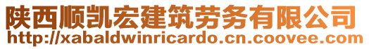 陜西順凱宏建筑勞務(wù)有限公司