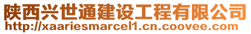 陜西興世通建設工程有限公司