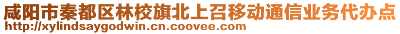 咸陽市秦都區(qū)林校旗北上召移動通信業(yè)務(wù)代辦點(diǎn)