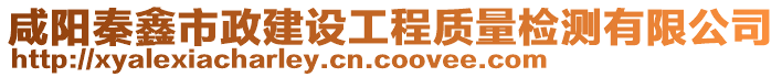 咸陽(yáng)秦鑫市政建設(shè)工程質(zhì)量檢測(cè)有限公司