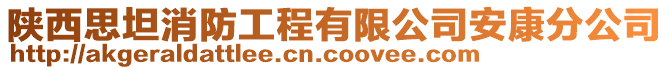 陜西思坦消防工程有限公司安康分公司