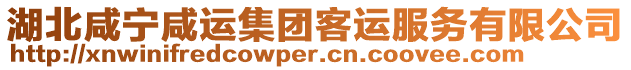 湖北咸寧咸運(yùn)集團(tuán)客運(yùn)服務(wù)有限公司