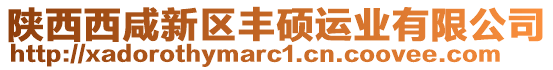 陜西西咸新區(qū)豐碩運業(yè)有限公司