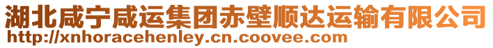 湖北咸寧咸運集團赤壁順達運輸有限公司