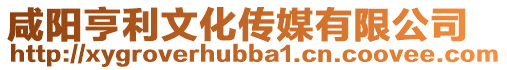 咸陽亨利文化傳媒有限公司