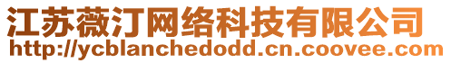 江蘇薇汀網(wǎng)絡(luò)科技有限公司