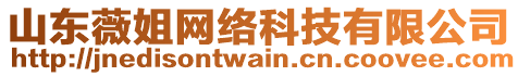 山東薇姐網(wǎng)絡(luò)科技有限公司