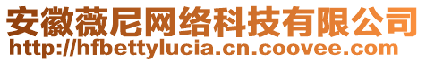 安徽薇尼網(wǎng)絡(luò)科技有限公司