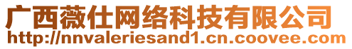 廣西薇仕網絡科技有限公司