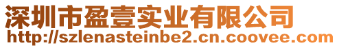 深圳市盈壹實業(yè)有限公司