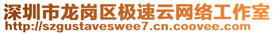 深圳市龙岗区极速云网络工作室