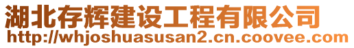 湖北存輝建設工程有限公司