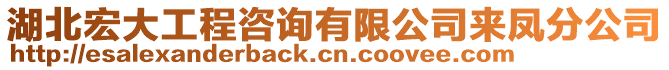 湖北宏大工程咨詢有限公司來鳳分公司