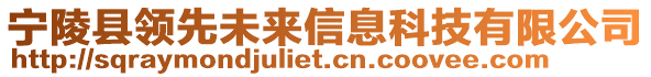 宁陵县领先未来信息科技有限公司