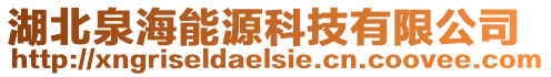 湖北泉海能源科技有限公司