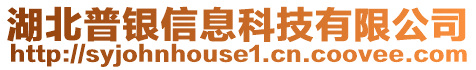 湖北普银信息科技有限公司