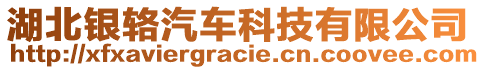 湖北銀輅汽車科技有限公司