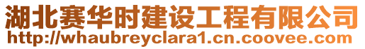 湖北賽華時建設工程有限公司
