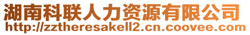 湖南科聯(lián)人力資源有限公司