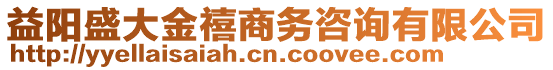 益陽盛大金禧商務咨詢有限公司