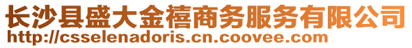 长沙县盛大金禧商务服务有限公司