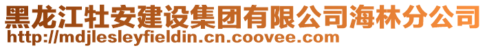 黑龍江牡安建設集團有限公司海林分公司