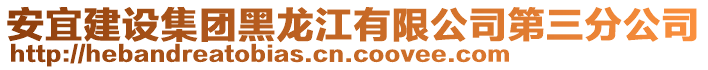 安宜建設(shè)集團(tuán)黑龍江有限公司第三分公司