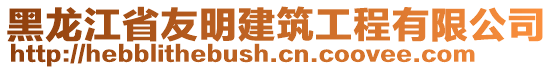 黑龍江省友明建筑工程有限公司