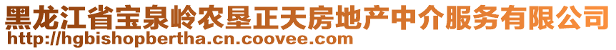 黑龙江省宝泉岭农垦正天房地产中介服务有限公司