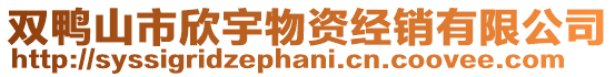 双鸭山市欣宇物资经销有限公司