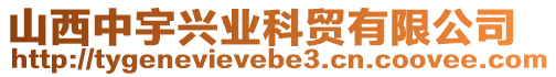 山西中宇興業(yè)科貿(mào)有限公司