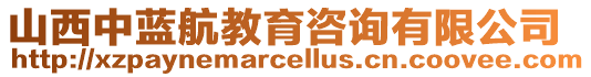 山西中藍(lán)航教育咨詢有限公司