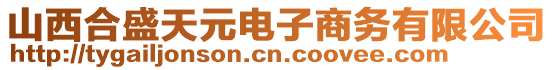 山西合盛天元電子商務有限公司