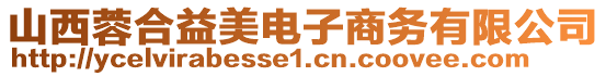 山西蓉合益美電子商務有限公司