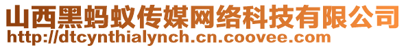 山西黑螞蟻傳媒網(wǎng)絡(luò)科技有限公司