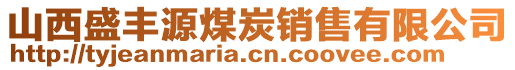 山西盛豐源煤炭銷售有限公司