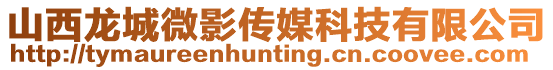 山西龍城微影傳媒科技有限公司