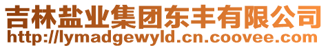 吉林鹽業(yè)集團(tuán)東豐有限公司