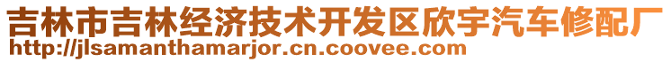 吉林市吉林經(jīng)濟技術(shù)開發(fā)區(qū)欣宇汽車修配廠