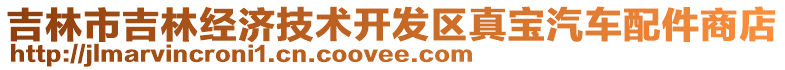 吉林市吉林經(jīng)濟技術(shù)開發(fā)區(qū)真寶汽車配件商店