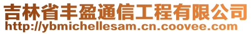 吉林省豐盈通信工程有限公司