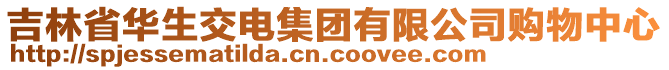 吉林省華生交電集團(tuán)有限公司購物中心