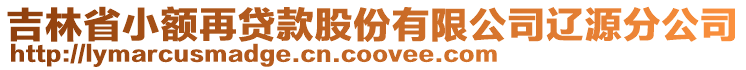 吉林省小額再貸款股份有限公司遼源分公司