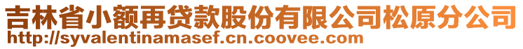 吉林省小額再貸款股份有限公司松原分公司