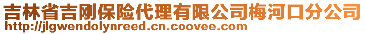 吉林省吉剛保險代理有限公司梅河口分公司