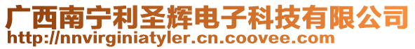 廣西南寧利圣輝電子科技有限公司