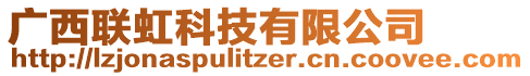 廣西聯(lián)虹科技有限公司