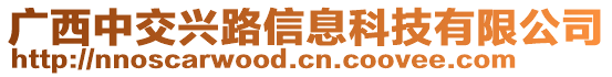 廣西中交興路信息科技有限公司