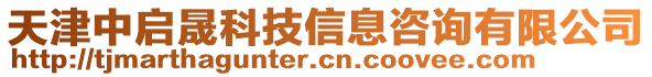 天津中啟晟科技信息咨詢有限公司