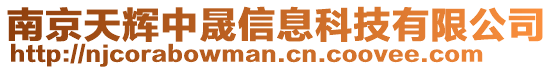 南京天輝中晟信息科技有限公司